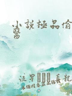 小说极品偷香村医
