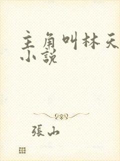 主角叫林天全部小说