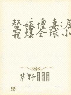 替嫁傻妻:厉少宠爆全球小说