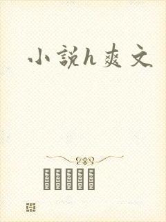 小说h爽文