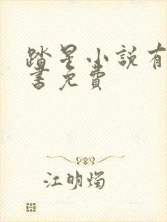 踏星小说有声听书免费