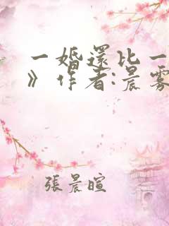 一婚还比一婚高》作者:晨雾的光