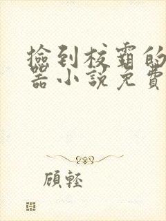 捡到校霸的控制器小说免费阅读