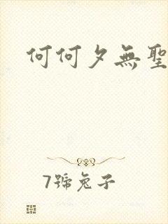 何何夕无圣光