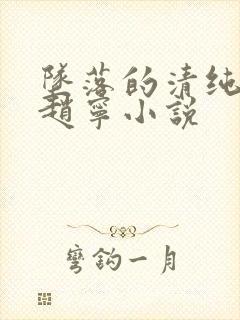 坠落的清纯校花赵宁小说