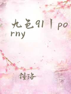 九色91丨porny