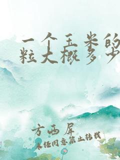 一个玉米的玉米粒大概多少克