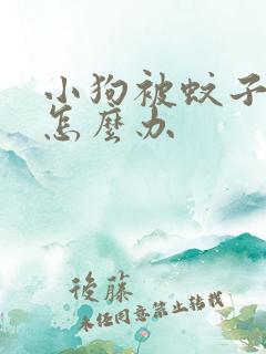 小狗被蚊子咬了怎么办