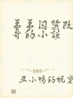 弟弟囚禁改造哥哥的小说