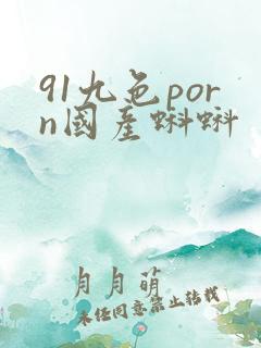 91九色porn国产蝌蚪