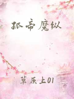 孤帝魔纵