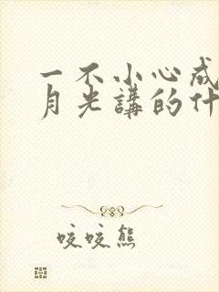 一不小心成了白月光讲的什么