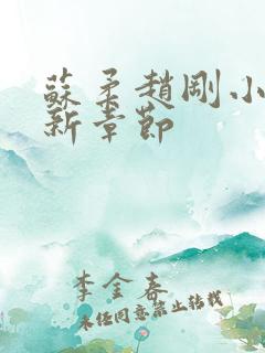 苏柔赵刚小说最新章节