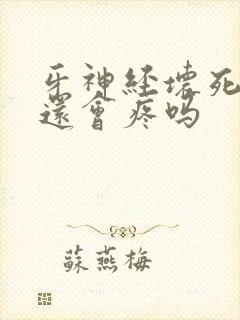牙神经坏死了牙还会疼吗