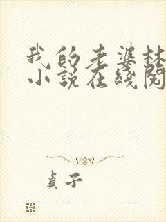我的老婆林慧茹小说在线阅读
