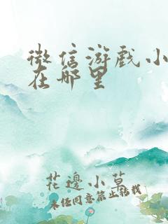 微信游戏小程序在哪里