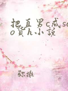 把直男c成sao货h小说