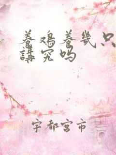 养鸡养几只鸡有讲究吗
