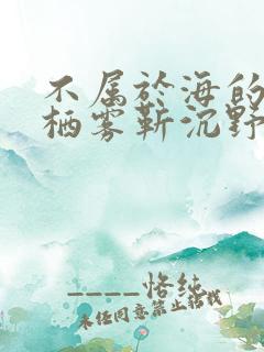 不属于海的风唐栖雾靳沉野免费阅读