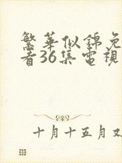 繁华似锦免费观看36集电视剧完整版