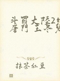 斗罗大陆2绝世唐门 王冬儿