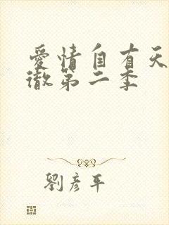 爱情自有天意裴彻第二季