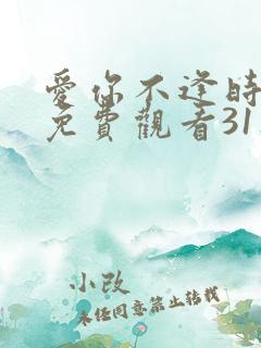 爱你不逢时短剧免费观看31集播放