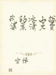 我的冰山总裁老婆叶潇免费