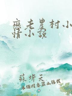 恋老农村小说言情小说