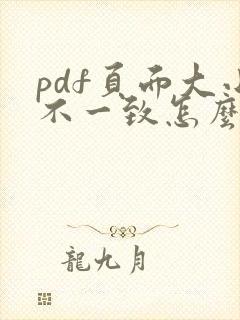 pdf页面大小不一致怎么调整