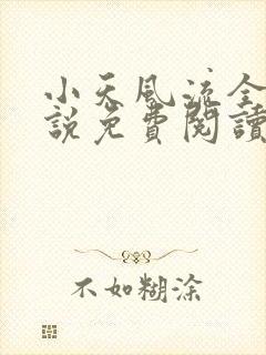 小天风流全集小说免费阅读