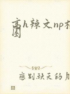 高h辣文np校园