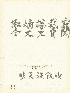 傲娇总裁宠上瘾全文免费阅读
