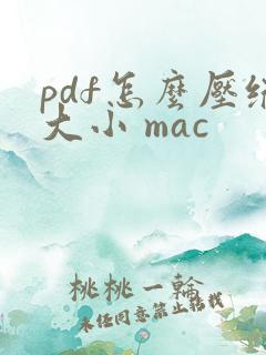 pdf怎么压缩大小 mac
