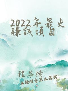 2022年最火赚钱项目