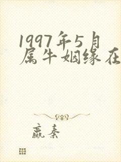 1997年5月属牛姻缘在哪年