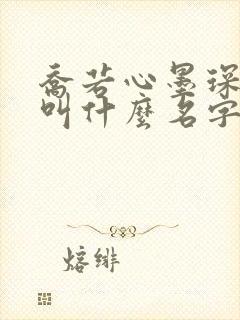 乔若心墨琛小说叫什么名字