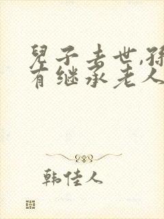 儿子去世,孙子有继承老人财产权利吗