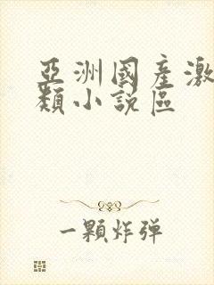 亚洲国产激情另类小说区