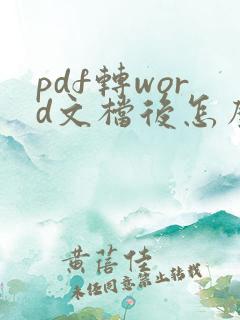 pdf转word文档后怎么排版