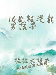 16岁叛逆期的男孩子