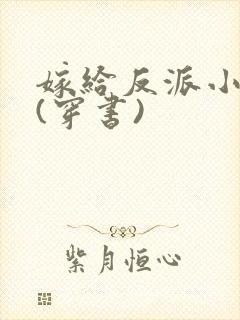 嫁给反派小叔子(穿书)