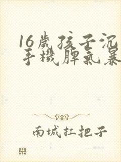 16岁孩子沉迷手机脾气暴躁