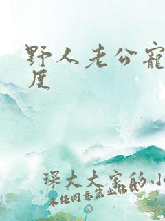 野人老公宠妻无度