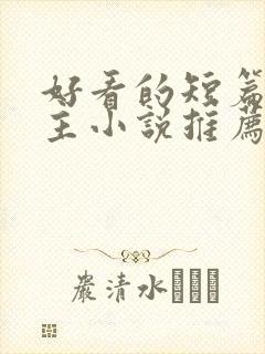 好看的短篇双男主小说推荐完结