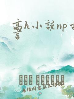高h小说np古言