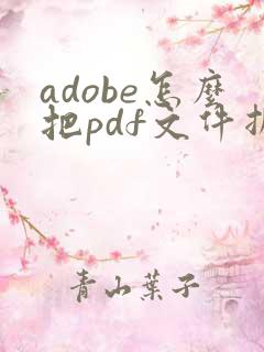 adobe怎么把pdf文件拆分成两个