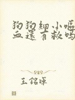 狗狗细小呕吐拉血还有救吗