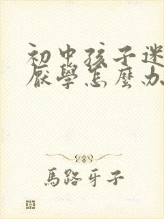 初中孩子迷网络厌学怎么办