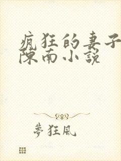 疯狂的妻子林瑶陈南小说
